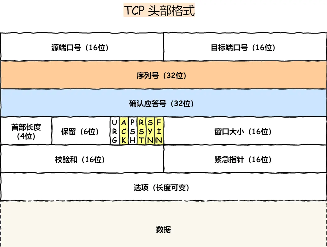一文彻底搞懂TCP与UDP的区别_tcp和udp的区别