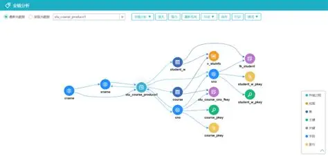 数据血缘：理解、分析与应用关键揭示