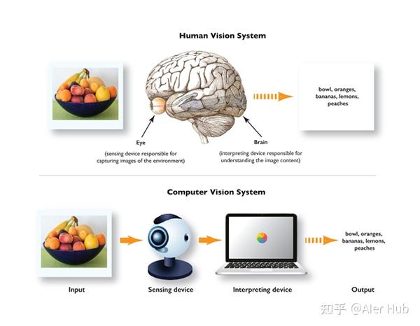 计算机视觉重塑技术生态_从基础到应用的全面解析