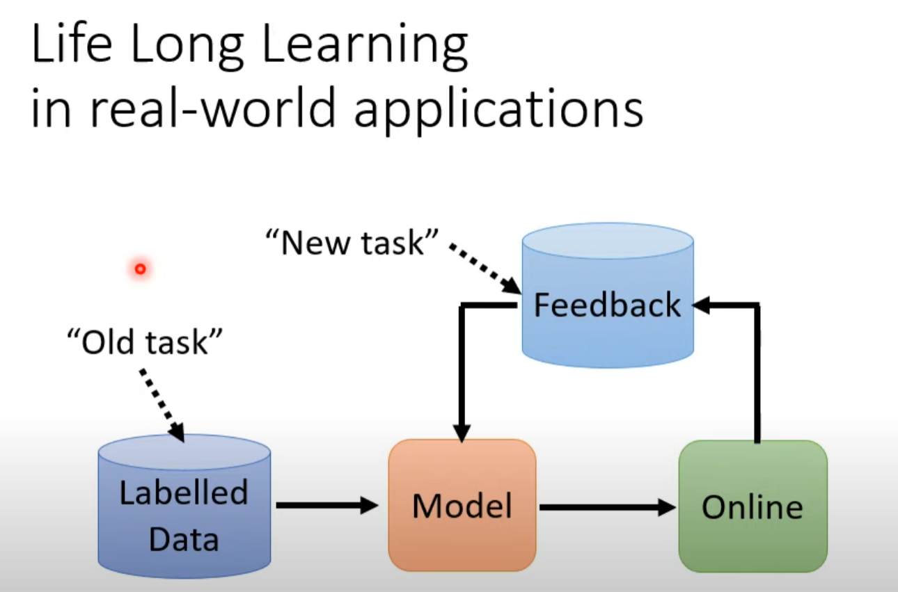 灾难性遗忘的成因与解决方案_深度解析及技术应用