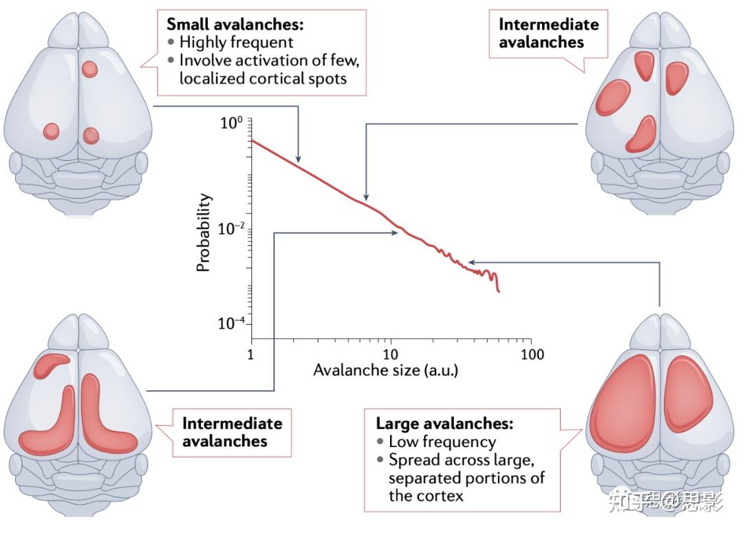 记忆重放_探索神秘的大脑功能与技术启示