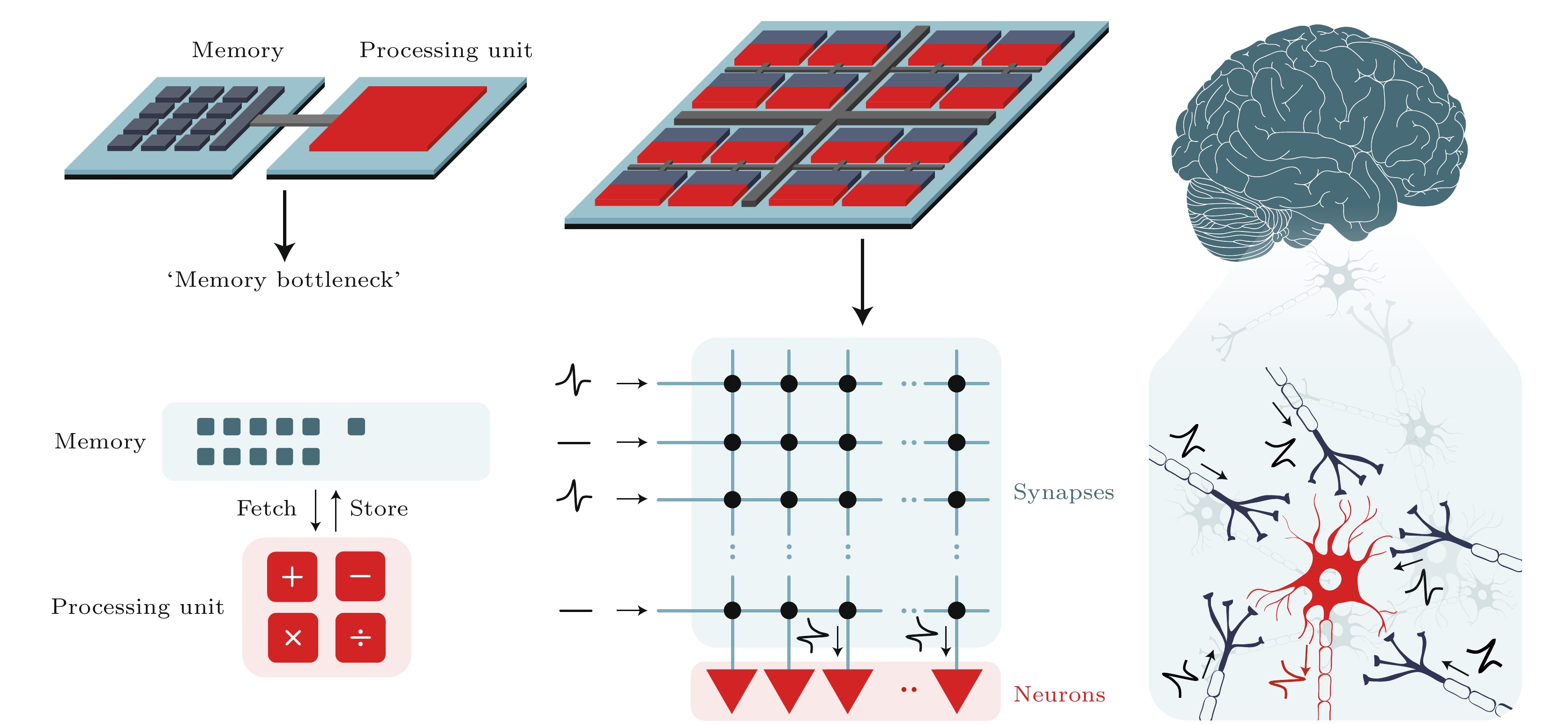 神经形态芯片的未来发展_先进技术与应用前景